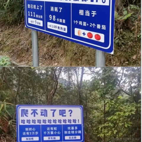 听雨落屋檐于2023-03-30 08:37发布的图片