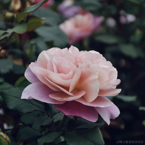 _一杯冰美式_于2023-03-21 10:05发布的图片