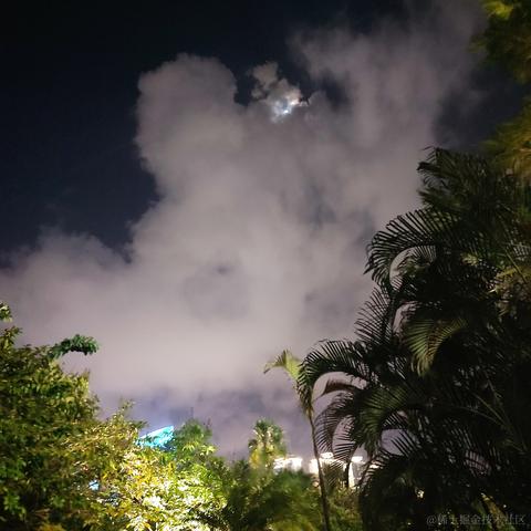 IE于2023-04-24 22:06发布的图片