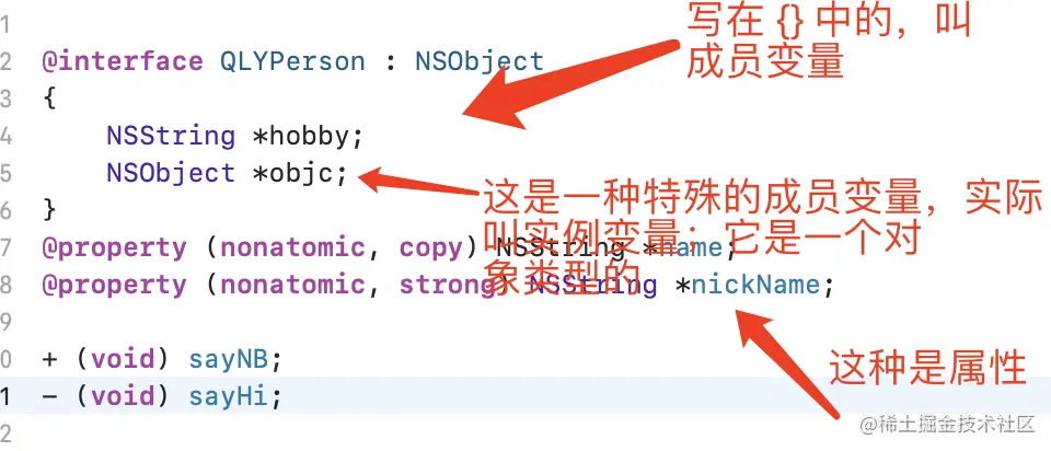 实例变量.png