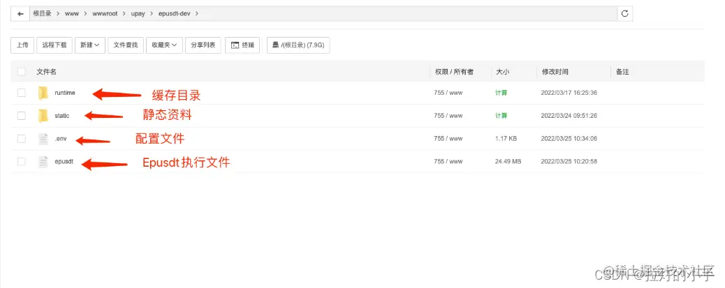 在这里插入图片描述