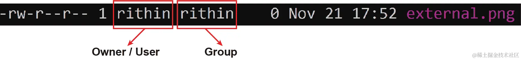 包含有关所有者和组的信息的输出
