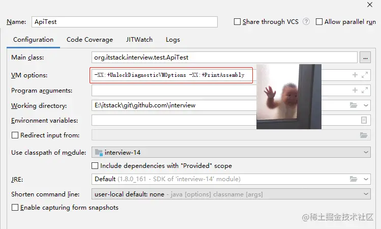 Idea VM options 配置编译指令