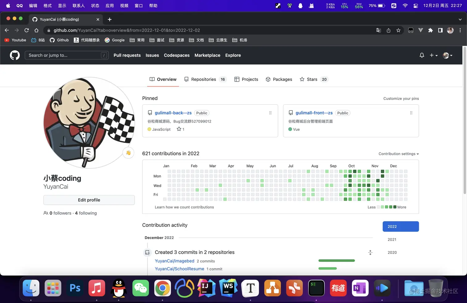 image-20221202224245827