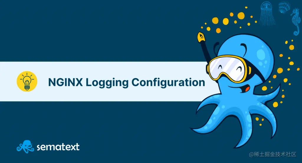 nginx logs
