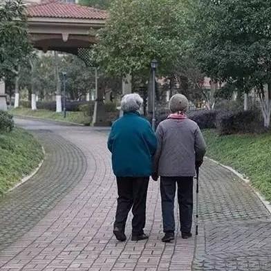 阿凡达他爹于2021-05-18 13:35发布的图片