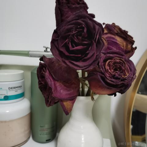 老柴不加班于2023-03-02 14:08发布的图片