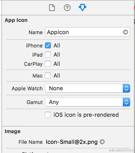 AppIcon