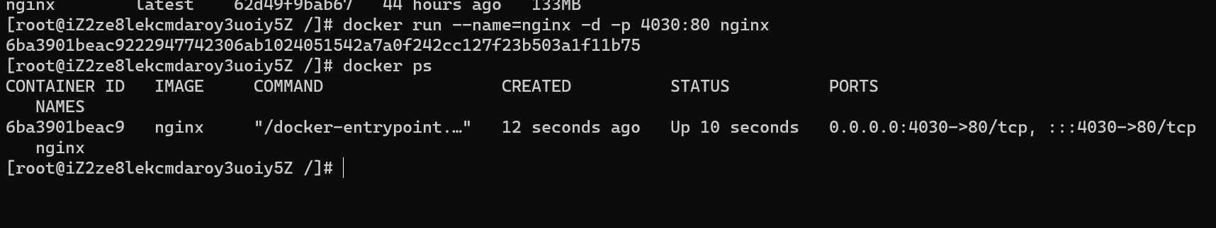 docker-nginx-started