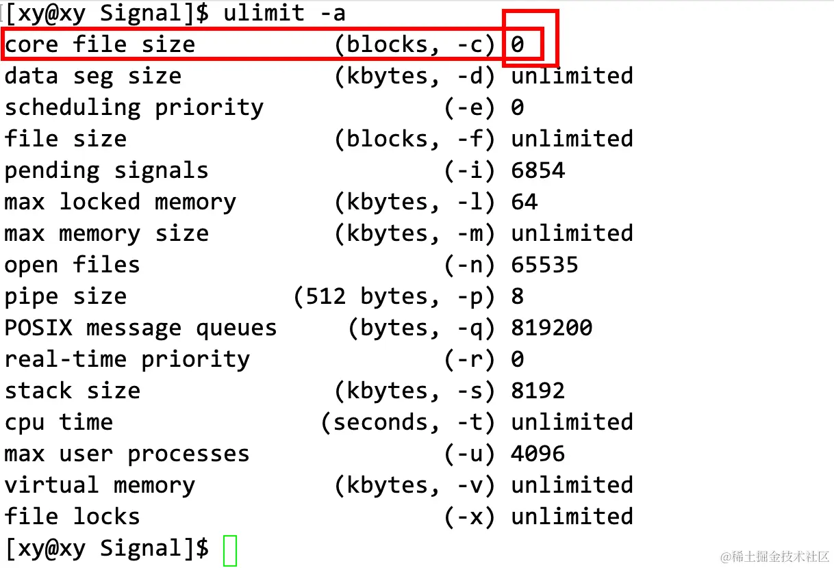 image-20230328170100969