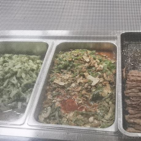 愿极星指引着你于2022-12-01 11:51发布的图片