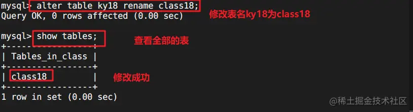 image-20220525012918806