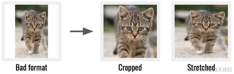 深度学习数据集最常见的6大问题（附解决方案）