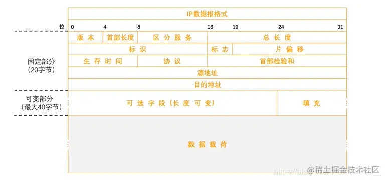 IP数据报格式