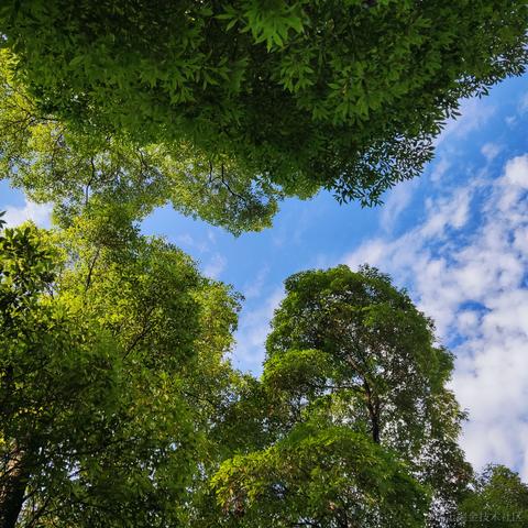 今天你吃饱了吗于2022-07-23 23:00发布的图片