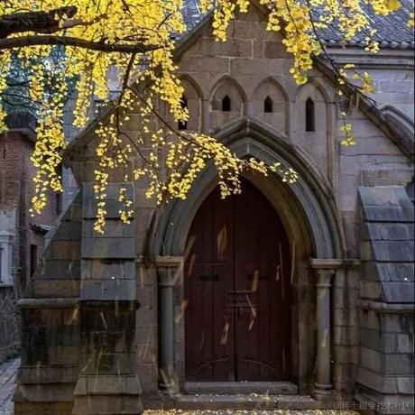 一只太空然于2022-12-18 08:11发布的图片