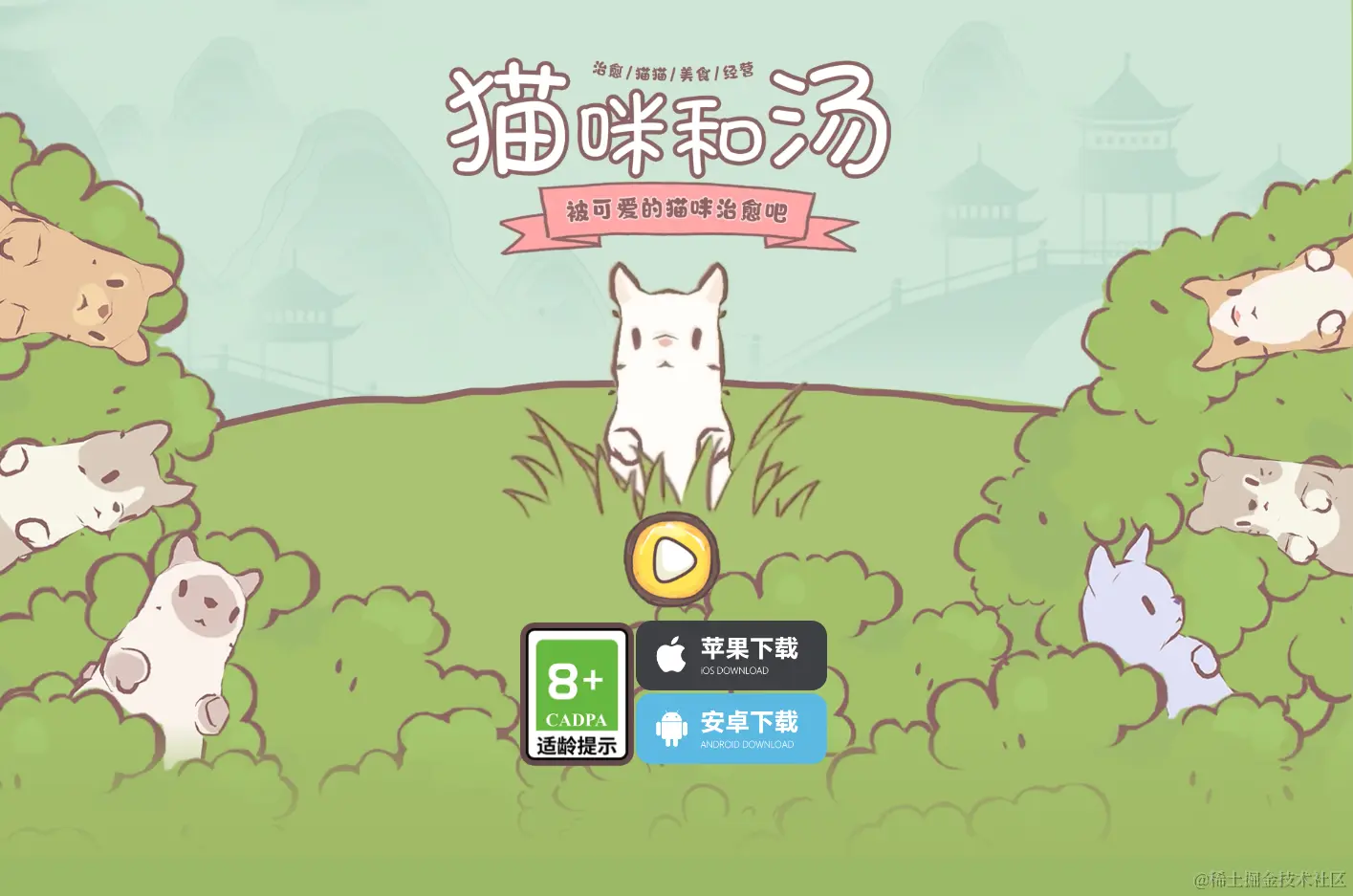 Capture20240619-160642.png
