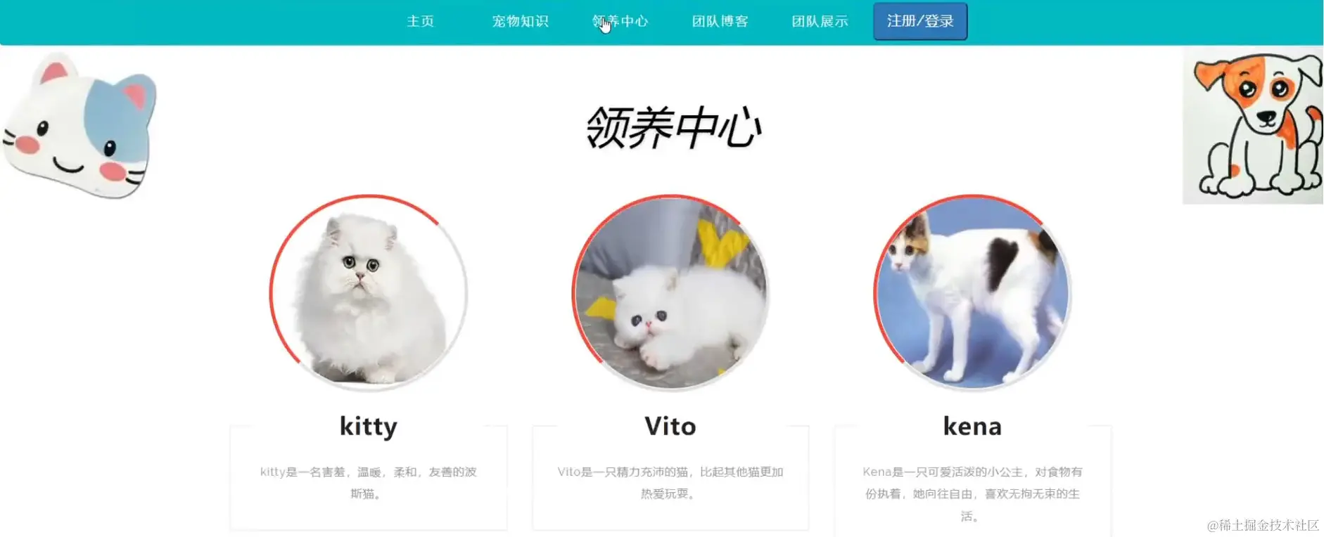 【云炬源码】127-宠物领养系统部署演示视频