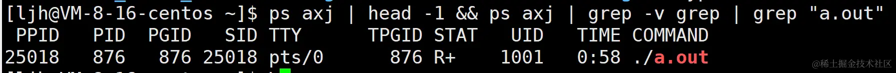 image-20240106154717511