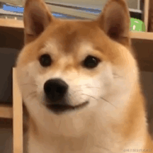 wzz不想写代码于2021-12-01 21:26发布的图片