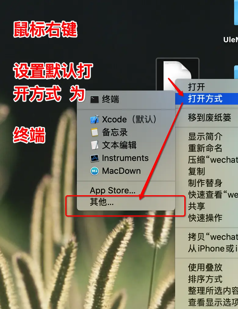 设置wechat.sh脚本默认打开程序