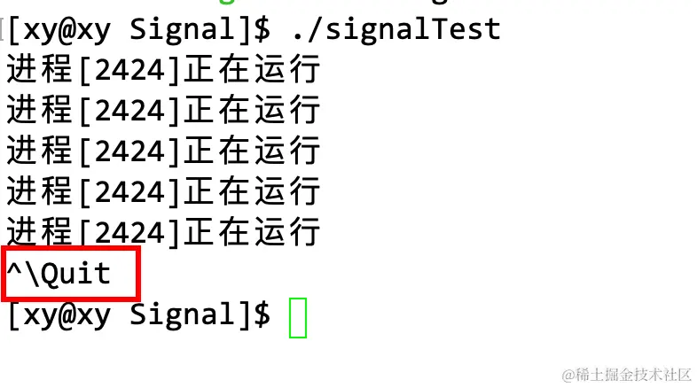 image-20230328165546004