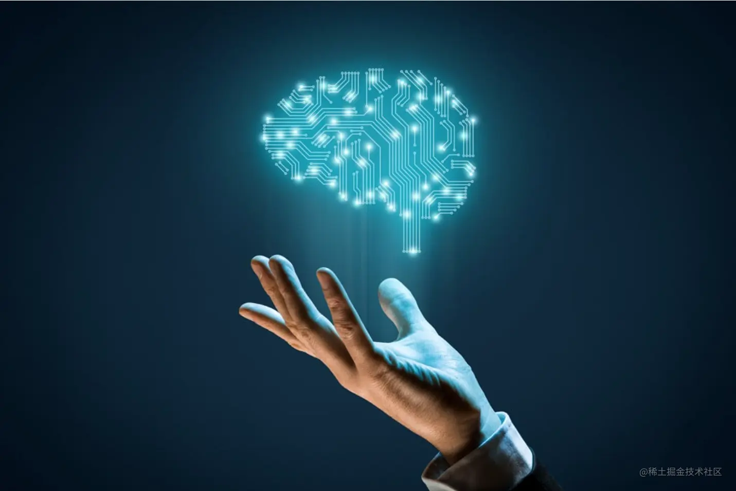 image-20230729120418582