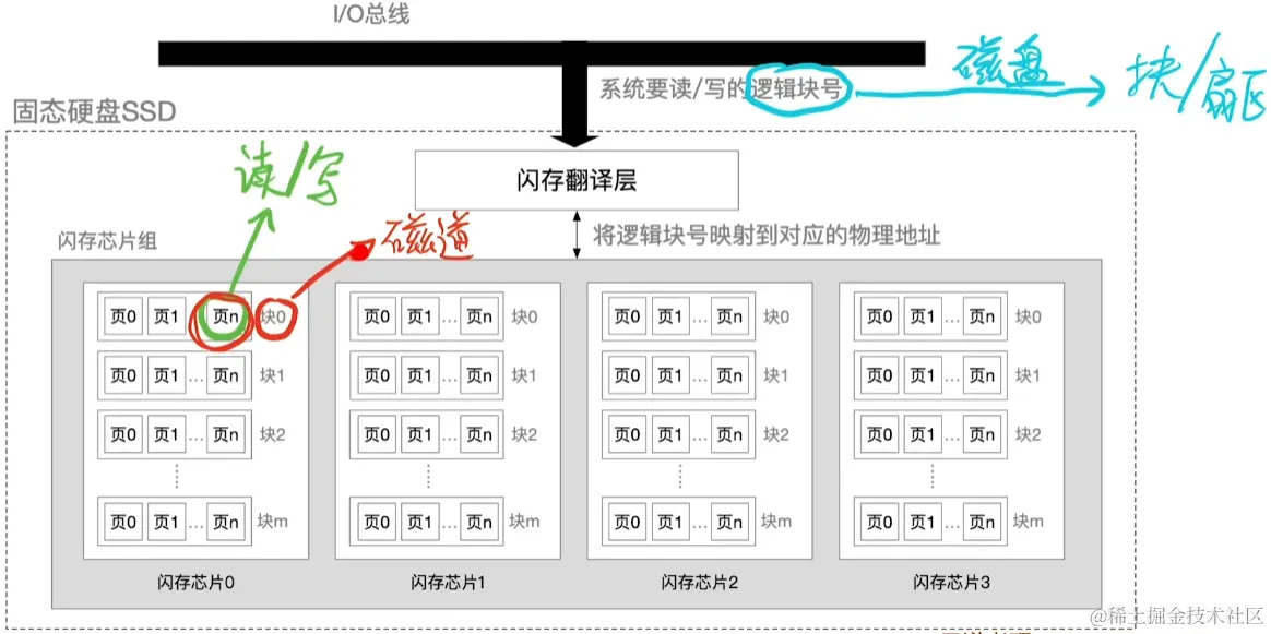 image-20230823051237984