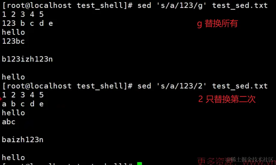 image-20240203114235556