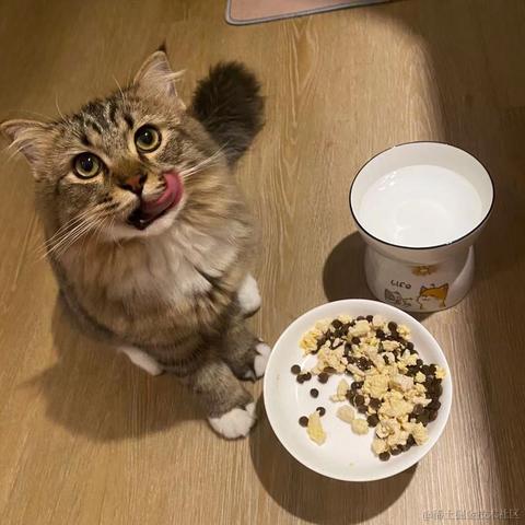 抖音开放平台于2021-10-28 14:21发布的图片