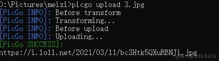 image-20210311211213091