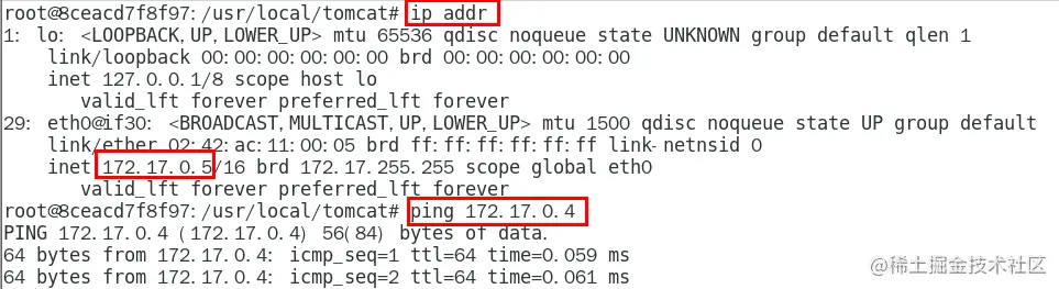 image-20221106173731685