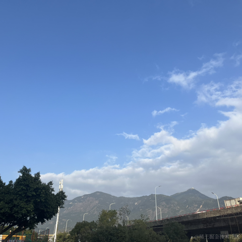 Simple_and_fond于2024-01-04 16:46发布的图片