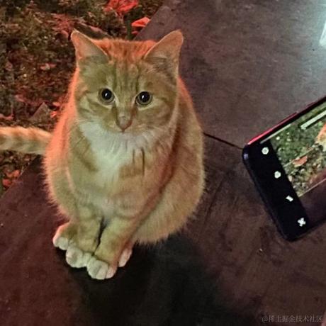 派星星于2022-04-30 09:30发布的图片