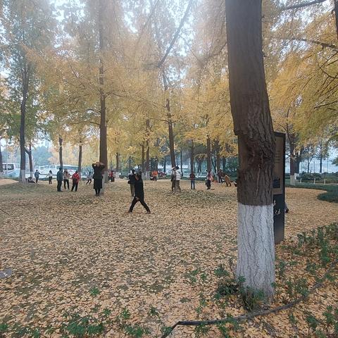 已注销于2023-12-10 16:38发布的图片