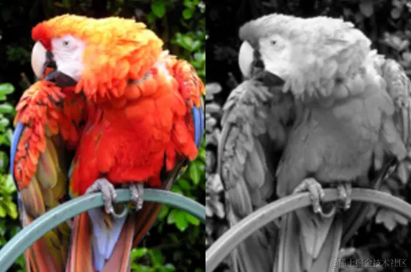 图B 左边的是原始的彩色照片 右边的一幅是灰度影像