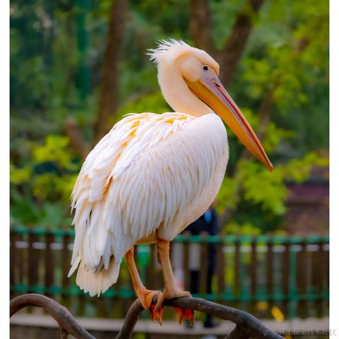 光影童于2023-12-11 11:15发布的图片