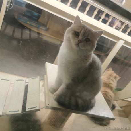 江拥羡橙于2023-10-23 09:40发布的图片