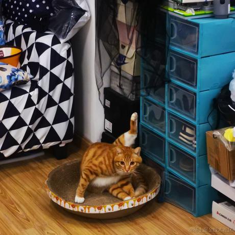 古柏树下于2022-02-25 09:38发布的图片