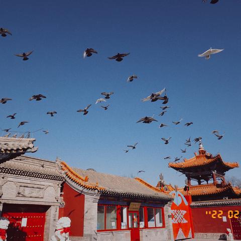 北雲于2022-02-19 12:43发布的图片