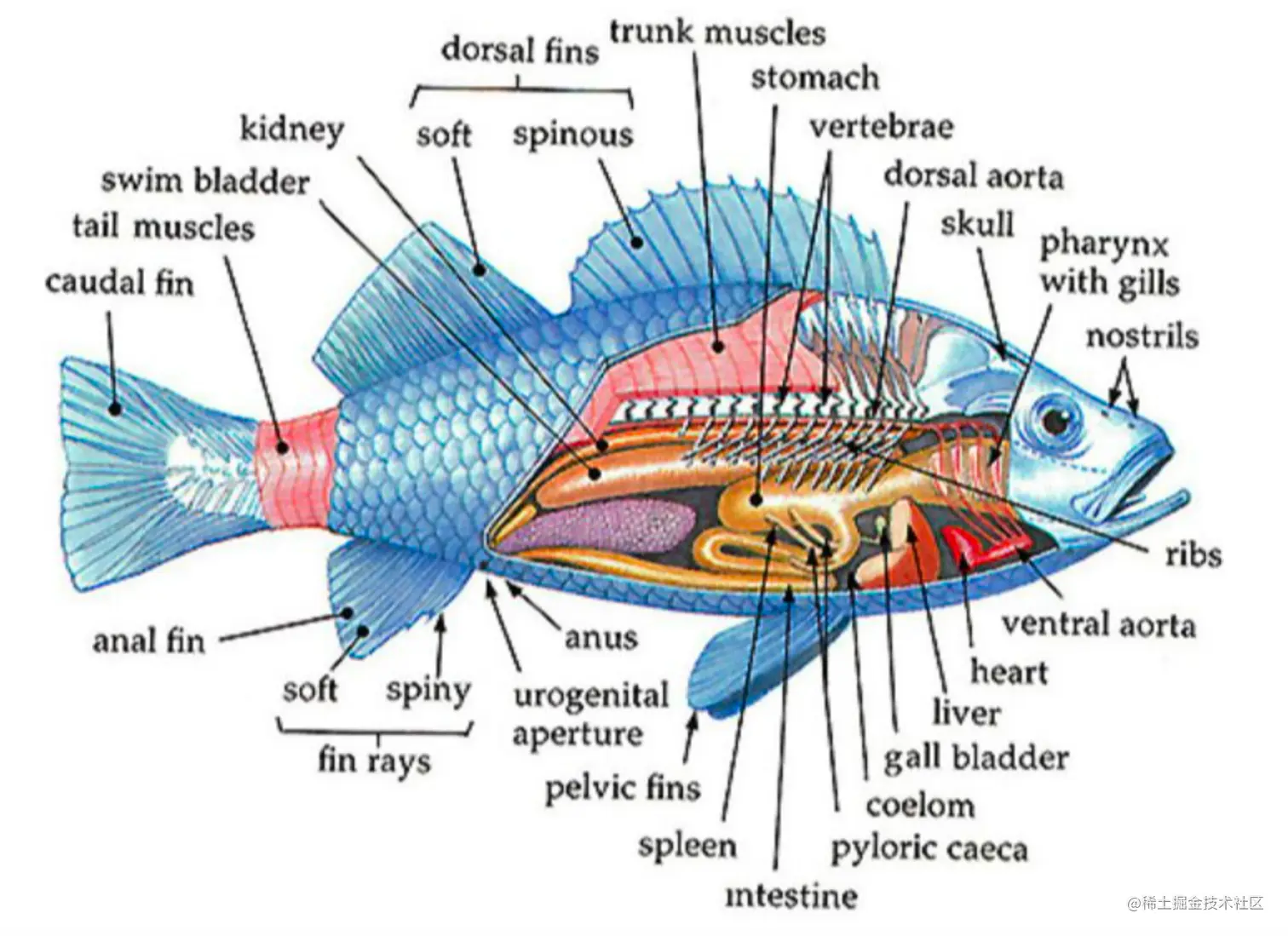 image-20220726215324061