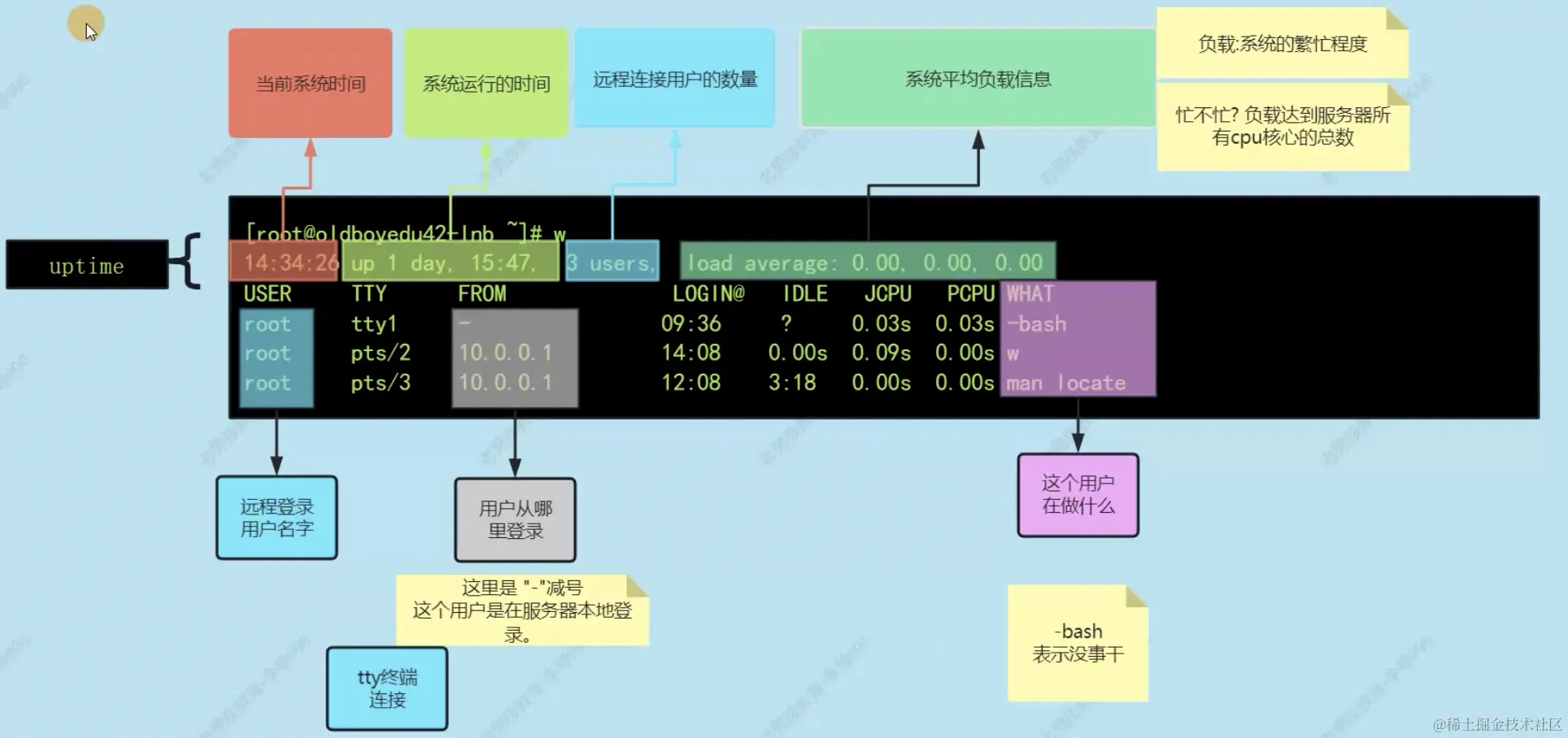 image-20240126222723560