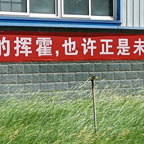 炯亮于2023-06-01 17:57发布的图片