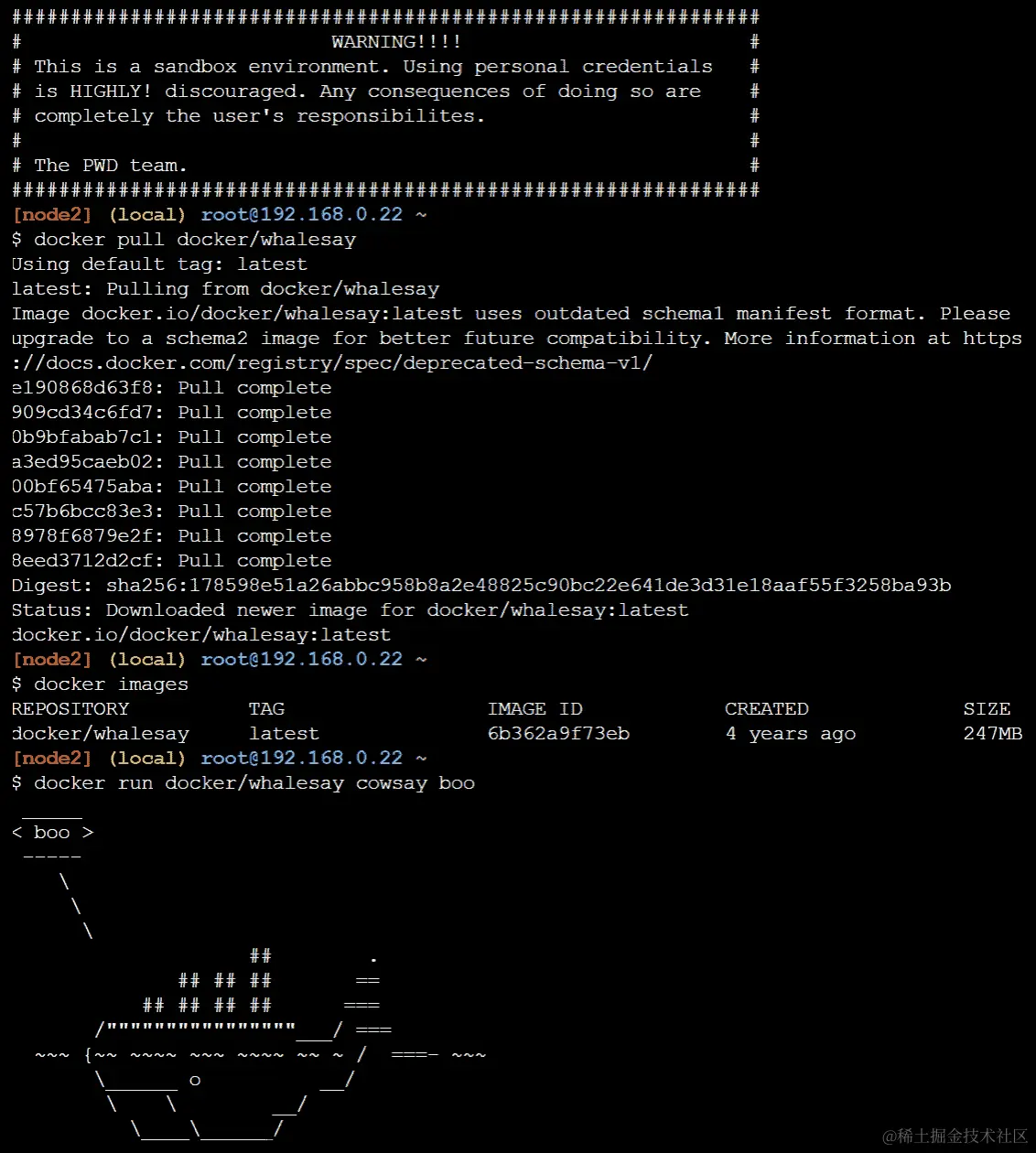 从公共 Docker Hub 仓库中拉取的 Docker 镜像以及显示镜像 ID 和大小的输出。此外，运行 Docker 镜像会显示一张鲸鱼说“boo”的图片。