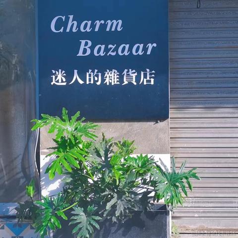 迷人的小布于2023-08-03 11:20发布的图片