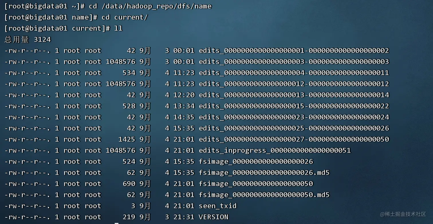 image-20220904213317623