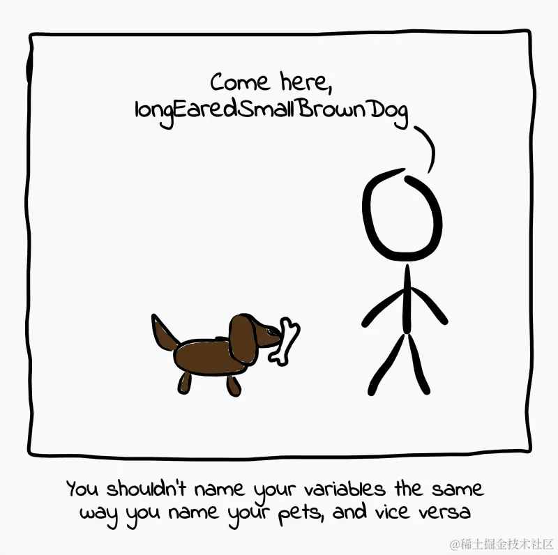 你不应该像给宠物命名一样命名你的变量，反之亦然