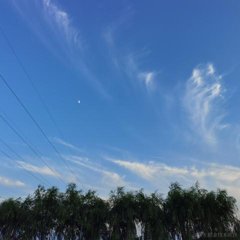 橘子Y于2021-12-20 09:51发布的图片