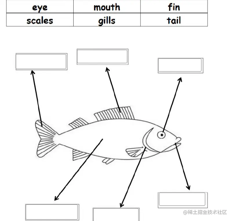 image-20220726215356438