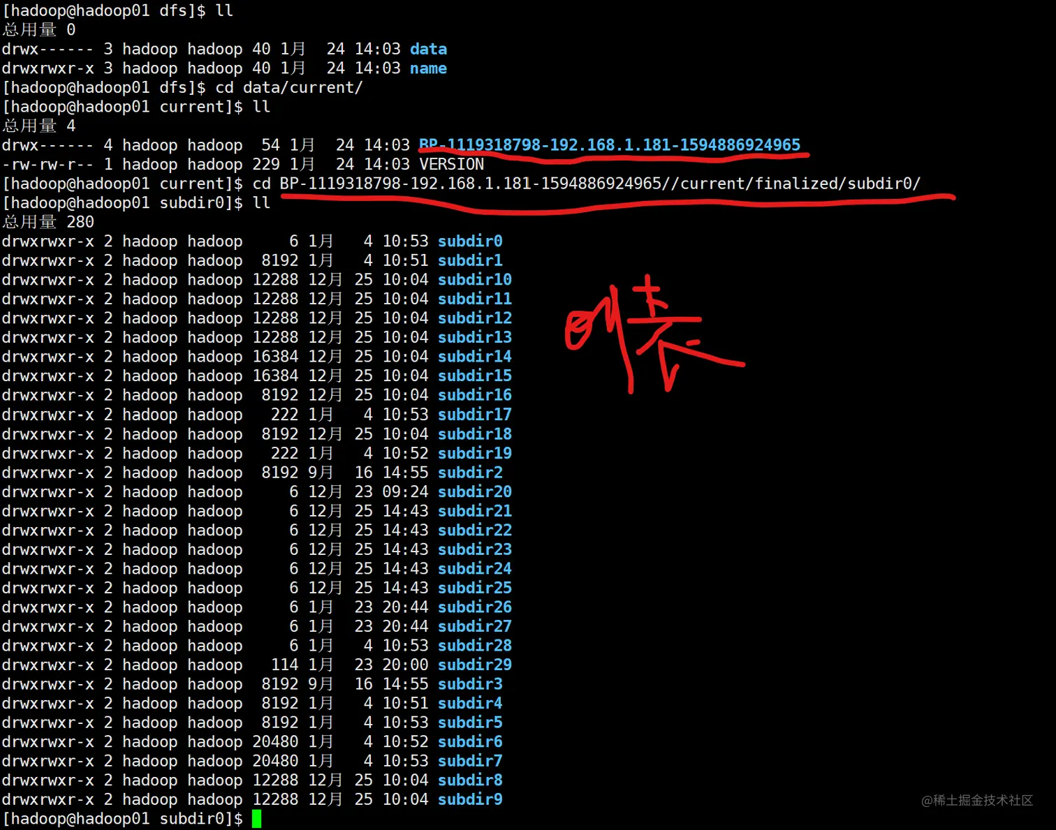 image-20210124165403075